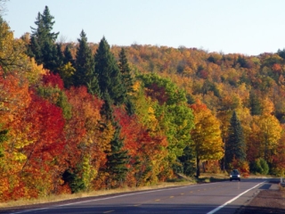 Fall-Colors
