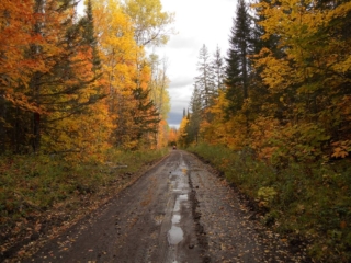 ATVing BN Trail