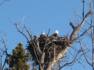 Eagle Nest overlooking L.G.