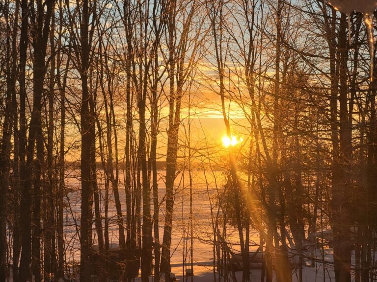 sunrisecove1 768x576