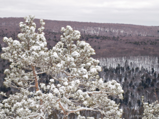 Porcupine Mountains in Winter