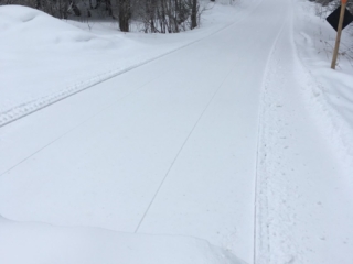 Feb 20 Trails