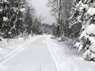 Groomed trails