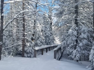 Lake Gogebic Area