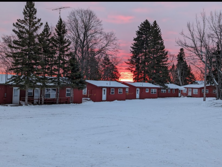Our Guest House Cabins 1 768x577