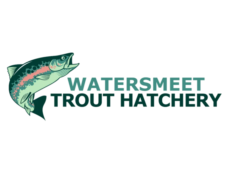 Featured image for “Watersmeet Trout Hatchery”